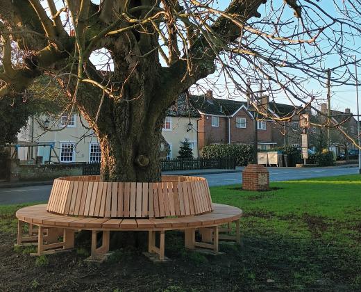 link to Village History