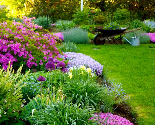 link to Garden Club