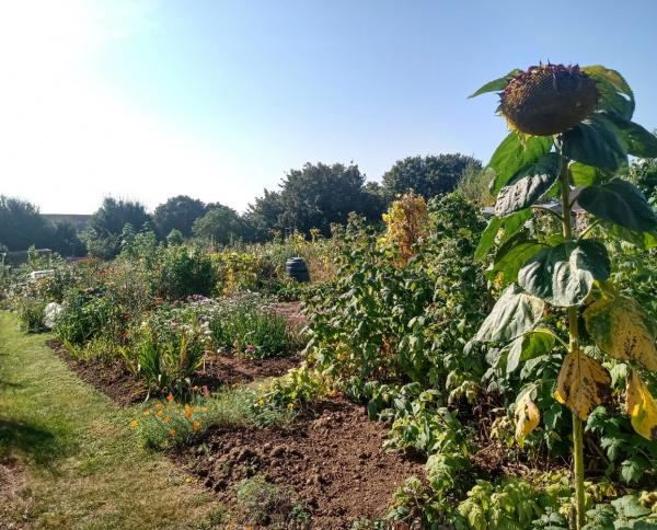 Allotments